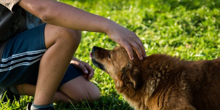 „Srdeční záležitosti“ se potýkají s lidskou nezodpovědností i krutostí