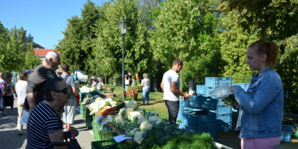Pospěšte na trh, stojí za to