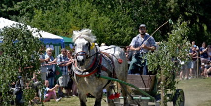 Divácky nejatraktivnější byla formanská jízda, která ukázala, jak přesně a rychle se dá jezdit s koňským povozem