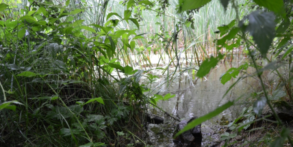Zdabořskou studánkou to neskončilo