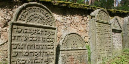 Na židovském hřbitově u Radobylu se nacházejí tak staré náhrobky, že svojí existencí sahají až do roku 1680