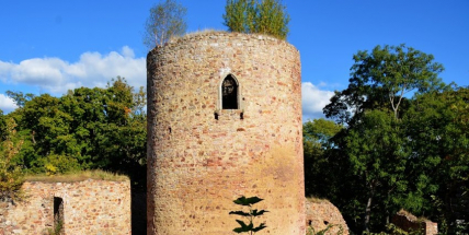 Zajímavá místa v Chráněné krajinné oblasti Brdy: zřícenina hradu Valdek