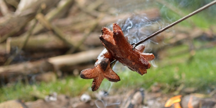 Drcené kosti a brouci. Pořad A DOST! odhalil, co obsahují špekáčky nabízené na českých pultech