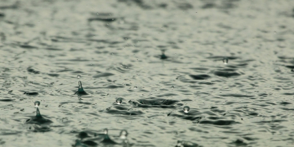 Dnešní promítání v letním kině se ruší