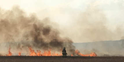 Aktuálně: Čtyřmetrové plameny zachvátily pole, hasiči bojují s ohněm