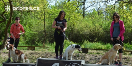 Soutěže, úkoly a zábava pro pejskaře v brdských lesích. Již tento víkend!