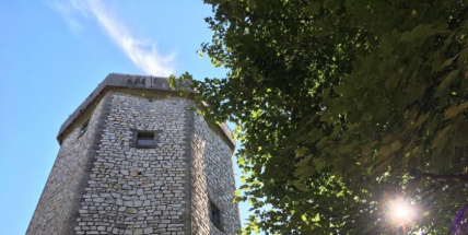 Rozhledna Studený vrch je skvělým místem k procházce i odpočinku