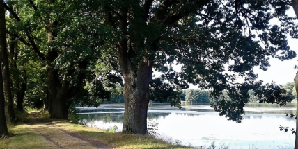 V Rožmitále pod Třemšínem vzniká další stezka, tentokrát pro pěší i cyklisty