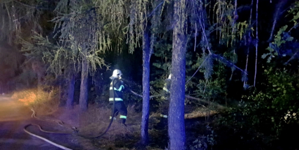 Aktuálně: Hasiči likvidují požár hrabanky a lesního porostu u Zdaboře