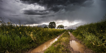 Blížící se víkend přinese nejen výrazné ochlazení, ale konečně i déšť