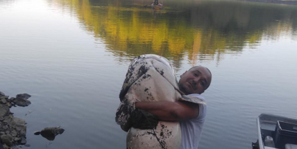 Obři z hlubin Orlíka