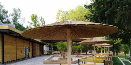 Foto dne: K palmám na terase přibyly slunečníky