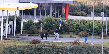 Foto dne:  Cirkusáci na lovu