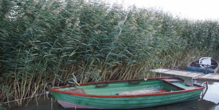 Blížícímu se podzimu nejspíš nefandí ani zloději, zdá se, že si léta chtějí ještě užívat