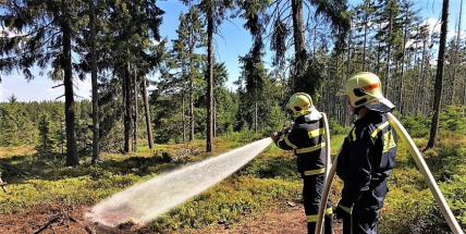 Brdské lesy daleko více ohrožují lidé než kůrovec