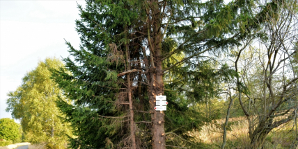 Účel světí prostředky? Bezohlednost v CHKO, která zaráží cyklisty i pěší