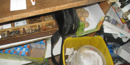 Kempovali jste na Orlíku? Nebylo to všude bezpečné pro vaše zdraví a žaludek