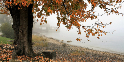 Do pátku léto, od soboty podzim. O víkendu se výrazně ochladí a podle meteorologů bude pršet