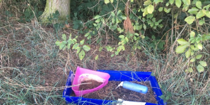 Foto dne: Tohle hlava nepobírá