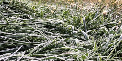 FOTO DNE: Mráz začíná čarovat