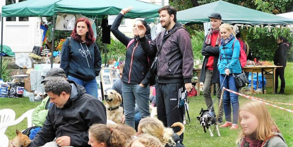 Když je miluješ, není co řešit. Pátá Voříškiáda ve Strži u Dobříše