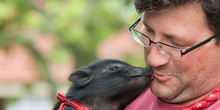 Vaši mazlíčci dnes slaví svátek