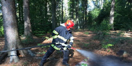 Aktuálně: Hasiči zasahují u požáru hrabanky v lesním porostu