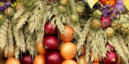 Cibulový jarmark už tento víkend!