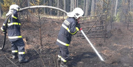 Aktuálně: Rozsáhlý požár lesa v nepřístupném terénu likvidují hasiči na Příbramsku