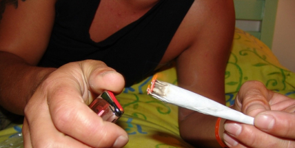 Pat a Mat kradli marihuanu