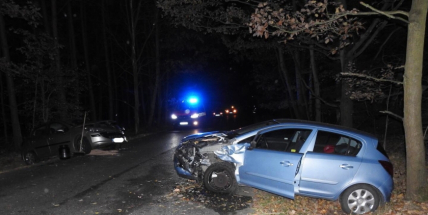 Aktuálně: Padlý strom, dvě havarovaná vozidla a zraněné osoby. To je bilance větrné noci na Příbramsku