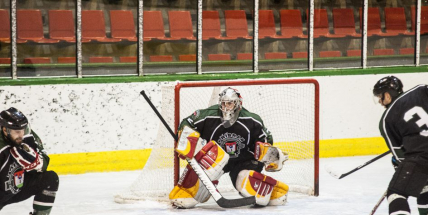 13. kolo krajské hokejové ligy se domácím příliš nevyvedlo