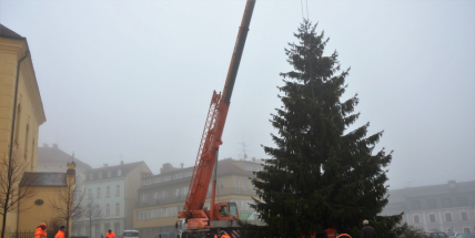 Vánoční strom jsme provázeli z Lazce až na náměstí TGM