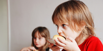 Středočeští zastupitelé schválili na předfinancování projektu „Obědy do škol ve  Středočeském kraji“ téměř dva miliony korun