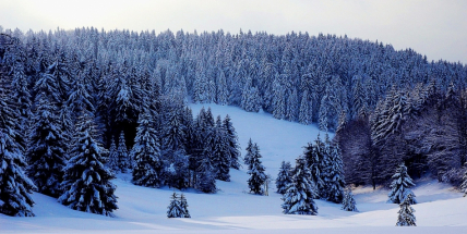 Nejchladnější týden přijde před Vánoci