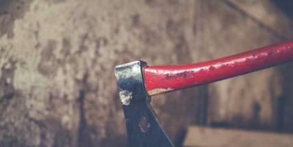 Příští týden se budou v Příbrami opět kácet dřeviny