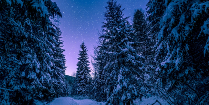 Teplé dny končí, přichází mrazy!