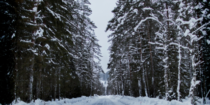 V noci to bude na silnicích a chodnících klouzat. Varování platí až do zítřejšího rána!