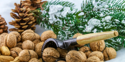 Proč vlastně pouštíme skořápky po vodě?