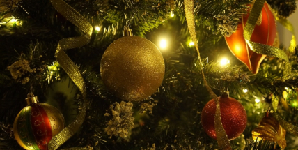 Myslíte, že Váš stromeček bude nejkrásnější? Tak ho přihlaste!