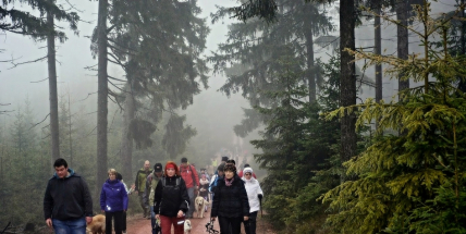 V novém roce na nás čeká "Pražák"