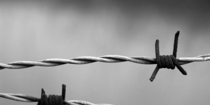 V rámci projektu Příběhy 20. století se objevilo i jméno Magdaleny Toufarové z Březových Hor