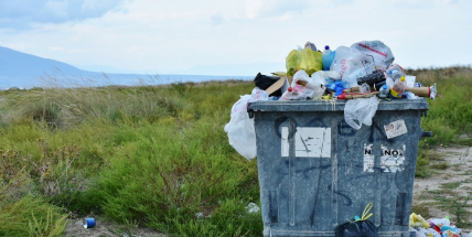 Do konce března je třeba uhradit poplatek za odvoz odpadu a poplatek za psa