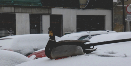 FOTO DNE: Neplatí parkovné a přesto parkují