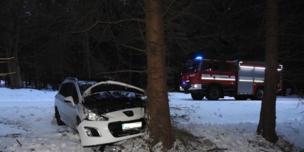 Aktuálně: U Obecnice narazil Peugeot do stromu, řidič vyvázl bez zranění