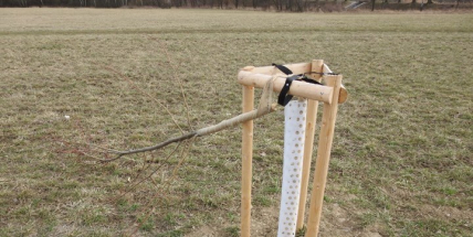 Video: Neznámý vandal poničil stromky u cyklostezky do Bohutína