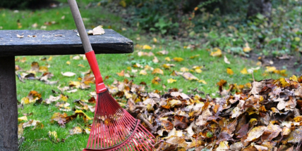 Kontejnery na bioodpad budou k dispozici od dubna