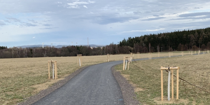 Hrdinství? Kdepak, jenom ubohost a zbabělost!