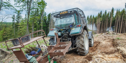 Vojenské lesy spustily největší zalesňovací akci v historii podniku:  23 milionů sazenic, z toho 15 milionů listnatých dřevin