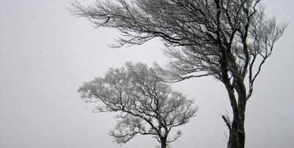 Meteorologové varují znovu před silným větrem